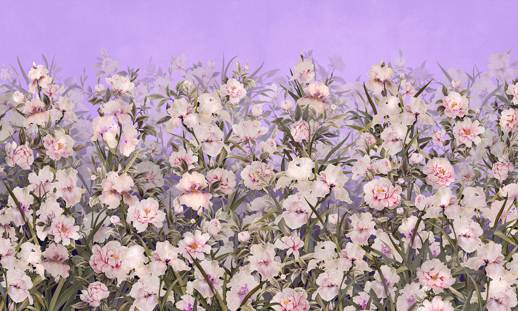 silk-iris-6