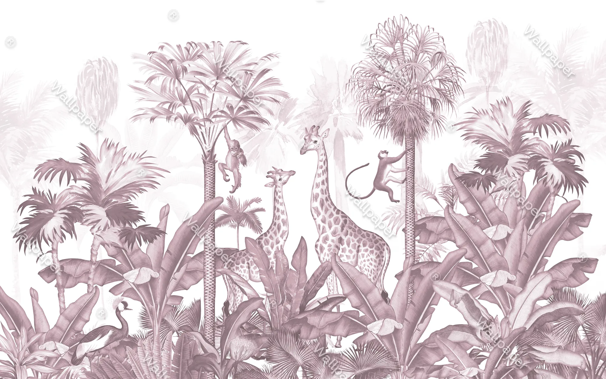 Little Safari Explorers – Cute Safari Animal Wallpaper | Art Vision Decor