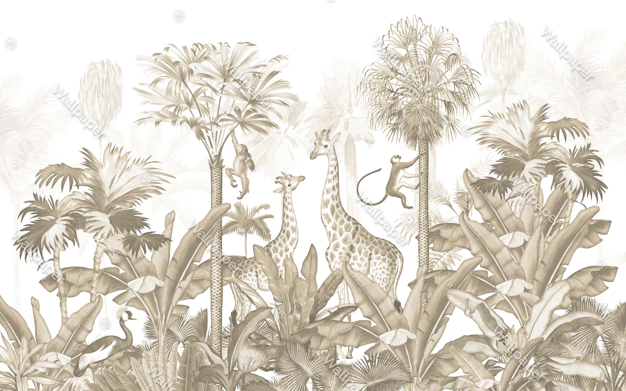 Little Safari Explorers – Cute Safari Animal Wallpaper | Art Vision Decor