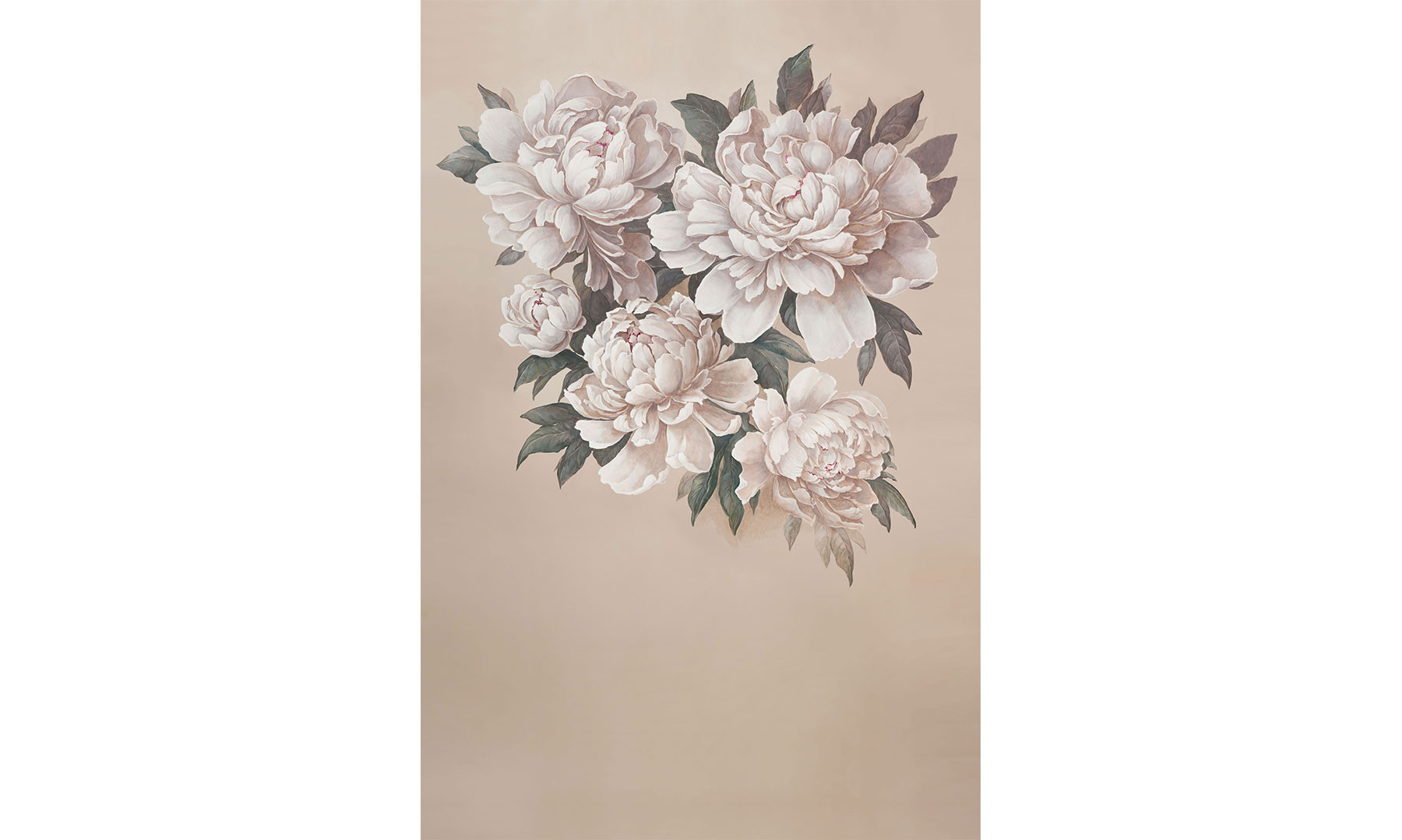Peony Magic 1