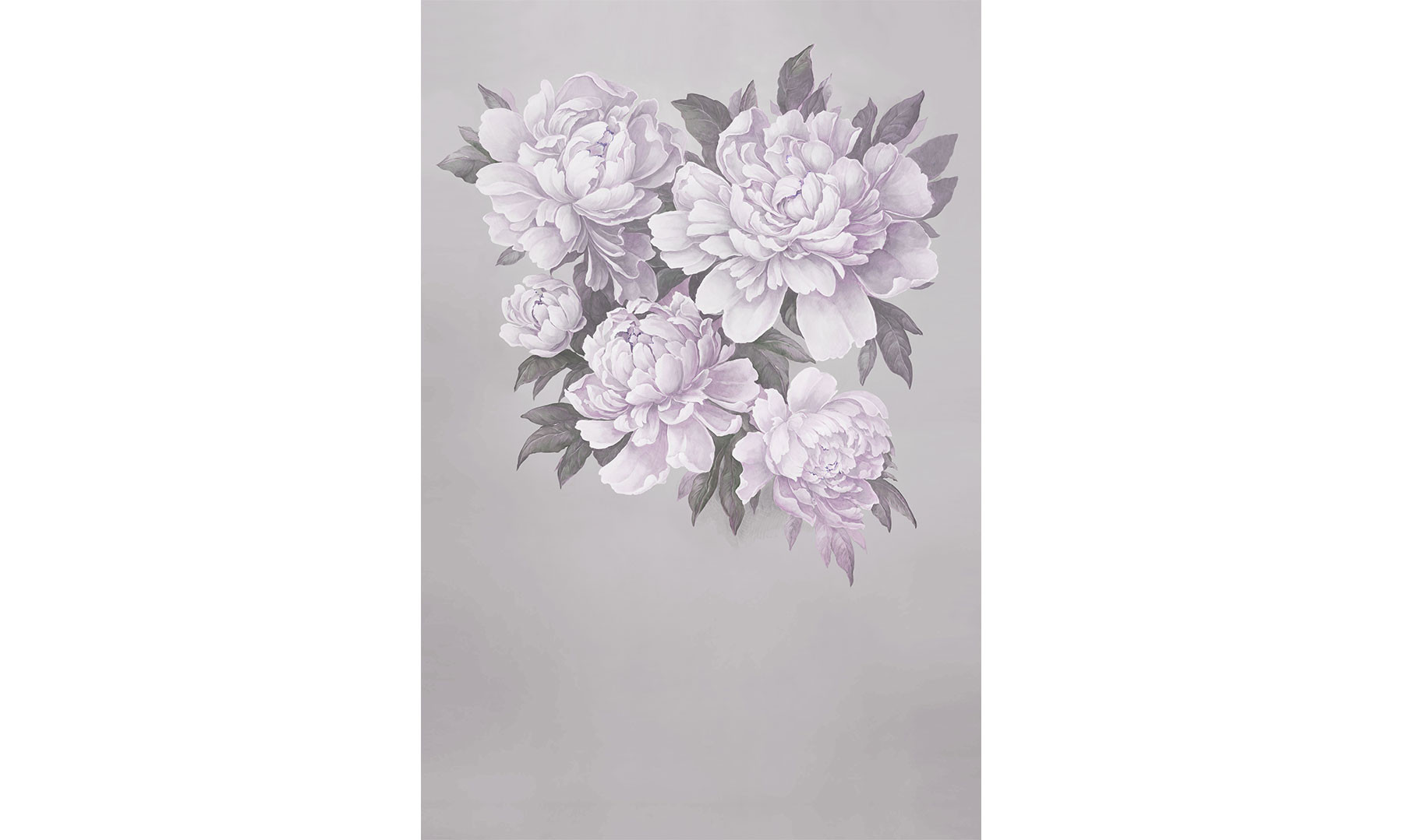Peony Magic 2