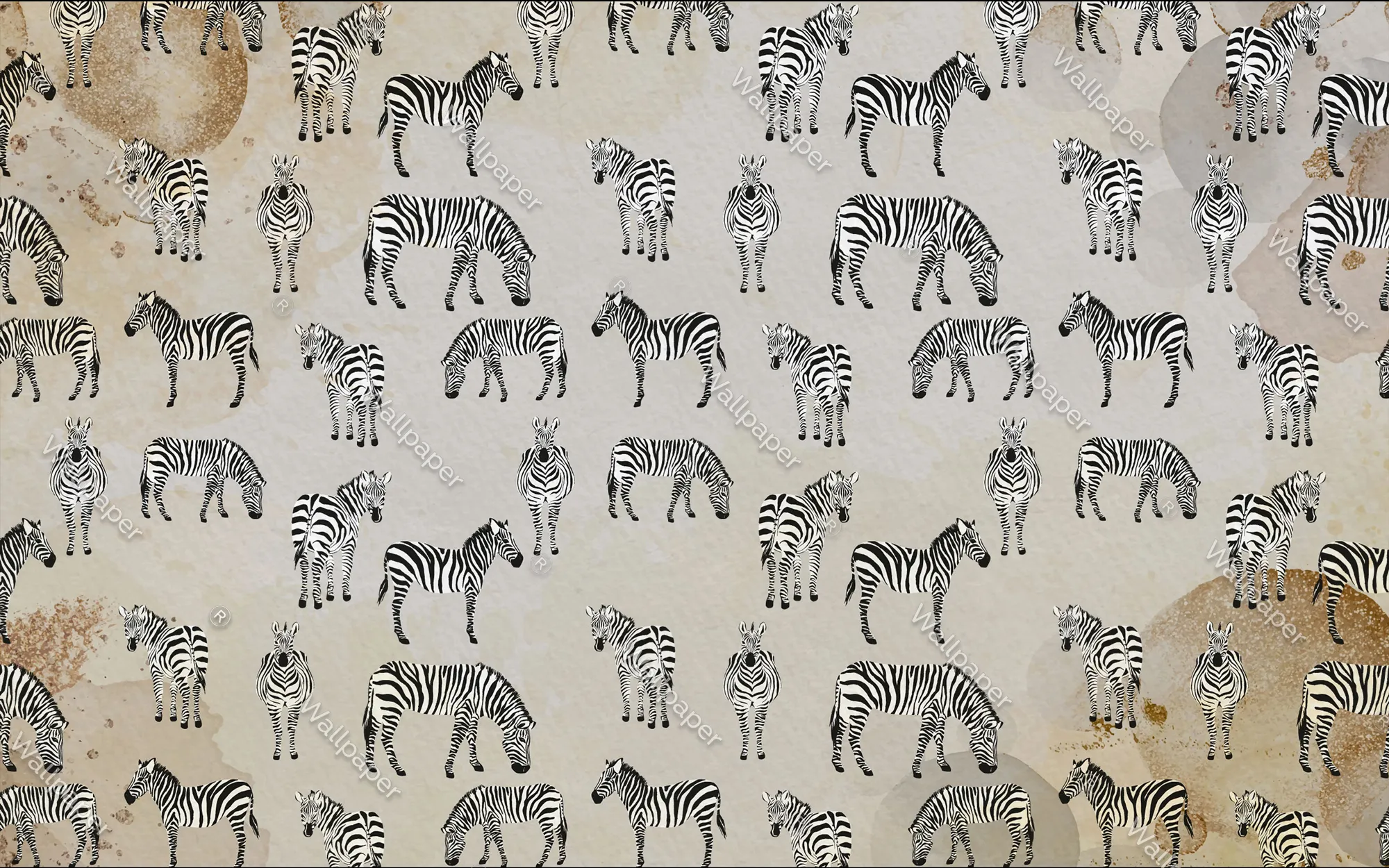 Zebra Safari Kids’ Wallpaper | Playful & Stylish Animal Print
