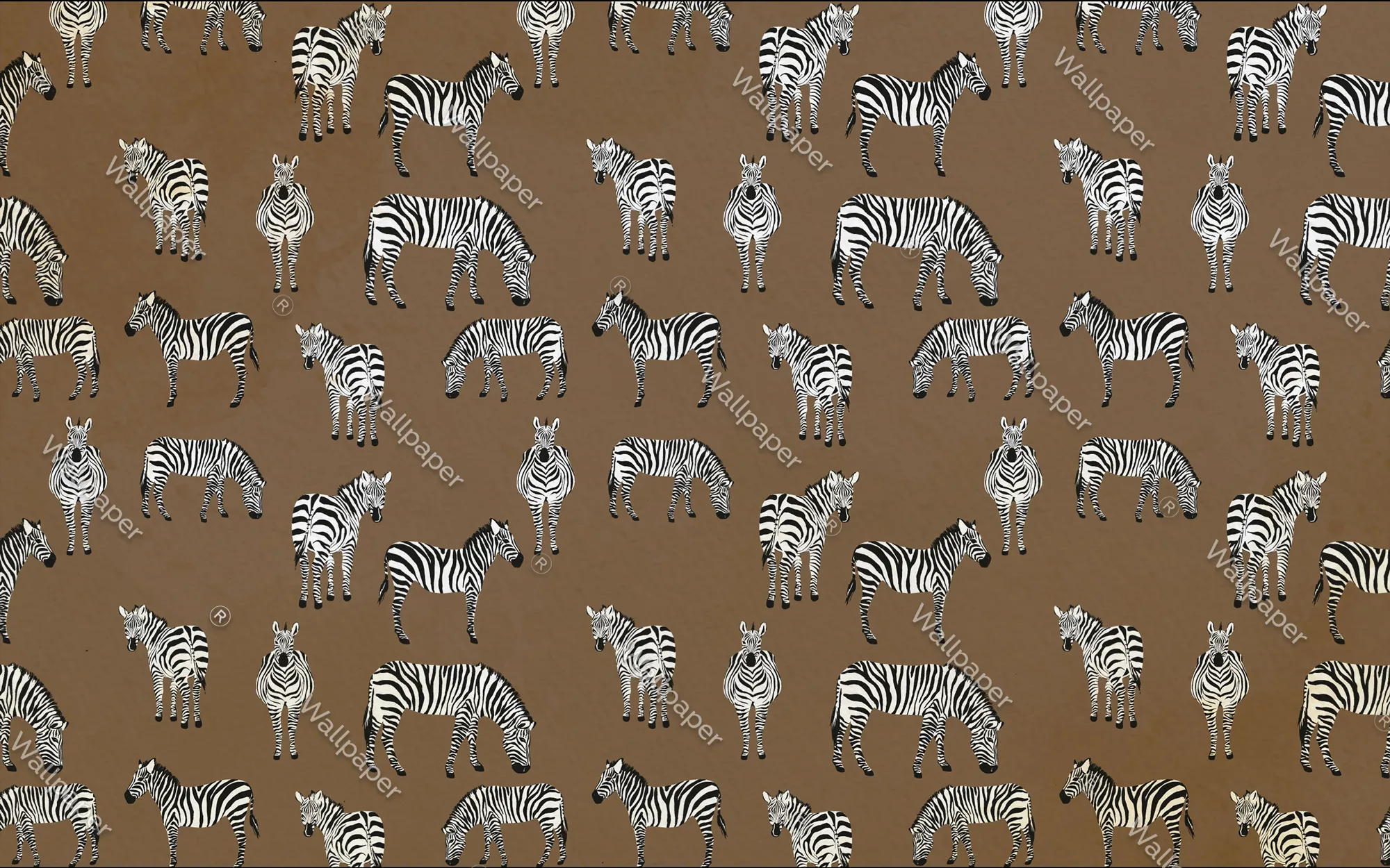Zebra Safari Kids’ Wallpaper | Playful & Stylish Animal Print