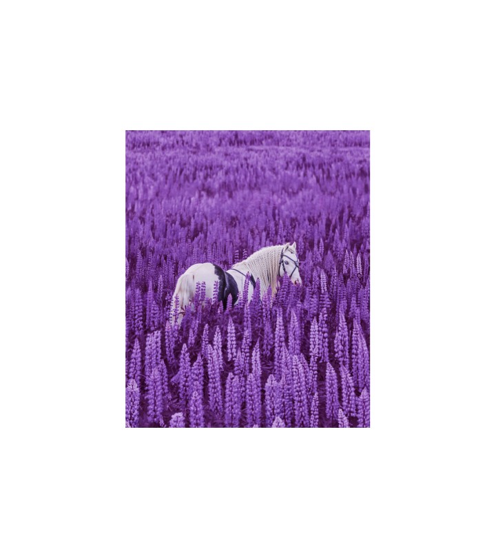 Magical Inspiration 2