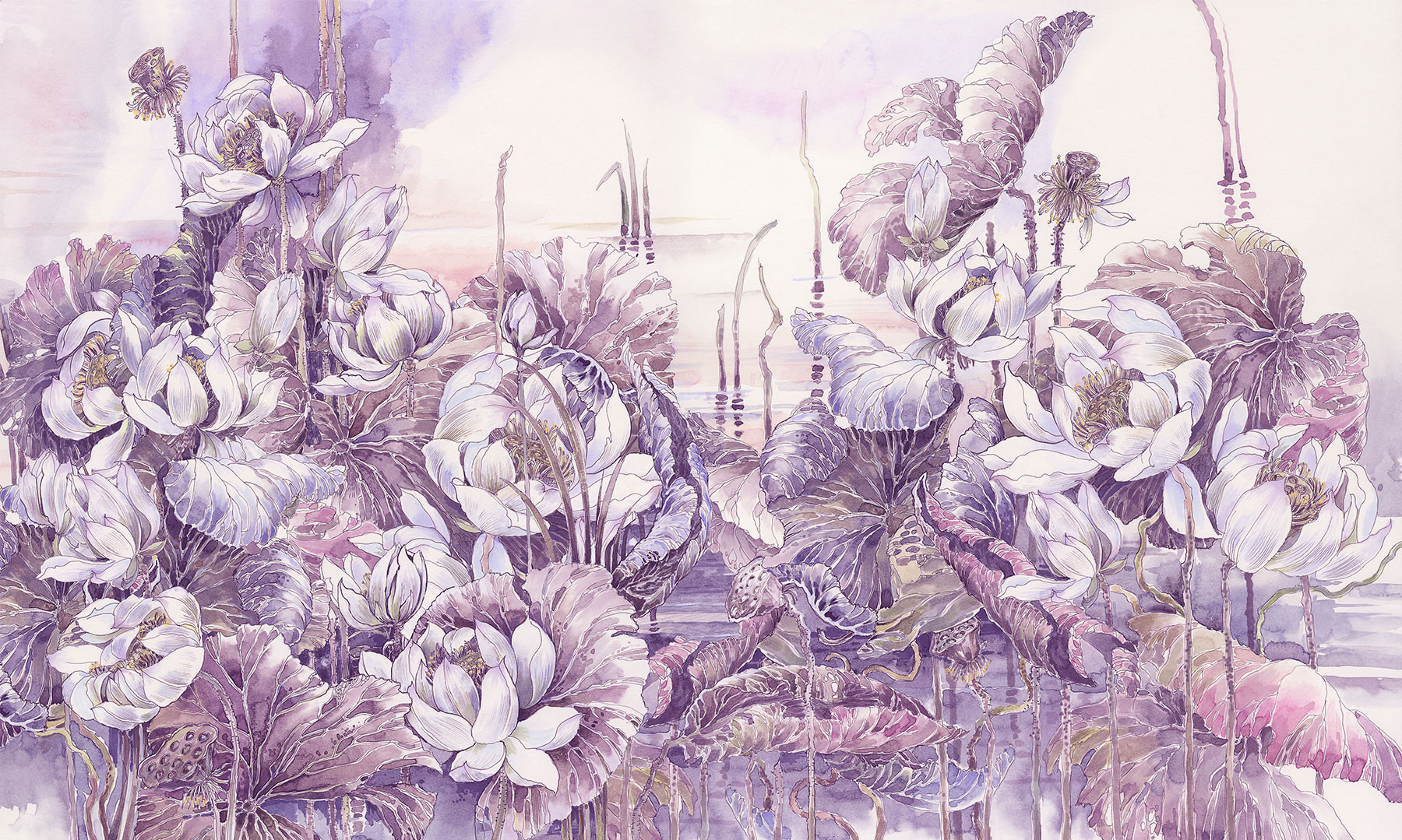 Lotuses at Dawn 2