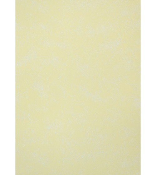 Vinyl Foam wallpaper on paper backing Vinil Bunnies WKS 2-1336 Yellow 10,05 x 0,53 m
