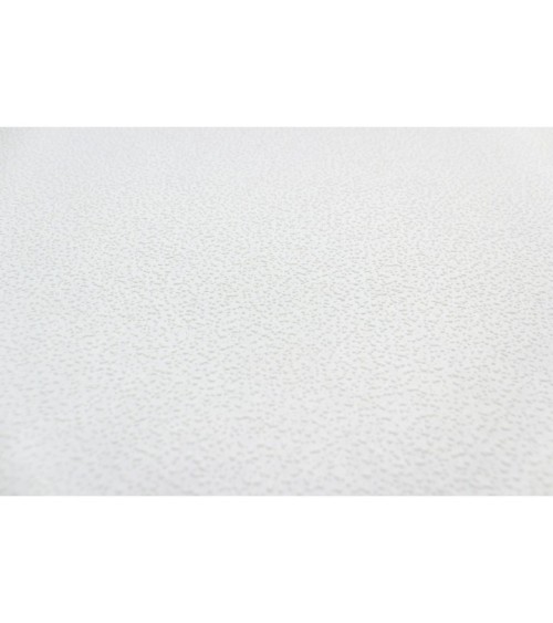 Vinyl Foam wallpaper on non-woven base Vinil Painted Wallpaper PRO 1 White 25 x 1,06 m