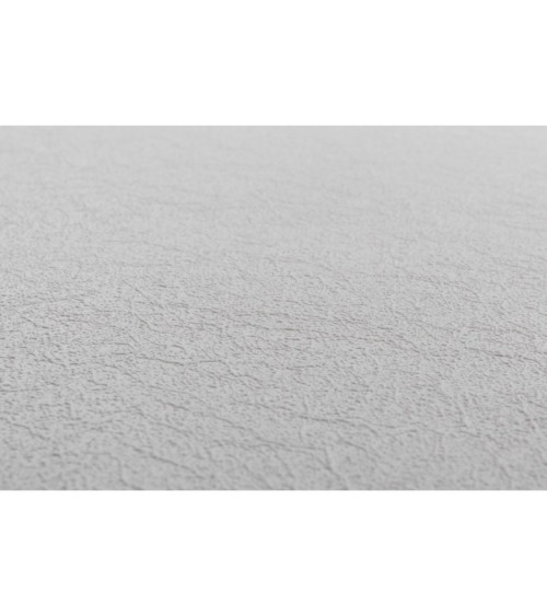 Vinyl Foam wallpaper on non-woven base Vinil Painted Wallpaper PRO 3 - Light2 Light-Gray 10,05 x 1,06 m
