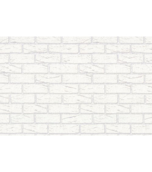 Vinyl Foam wallpaper on non-woven base Vinil Saman DHV-1488/2 Gray-White 10,05 x 1,06 m
