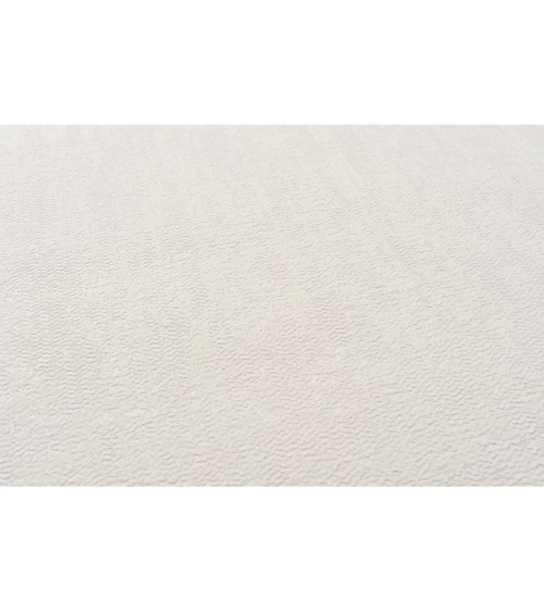 Vinyl Foam wallpaper on non-woven base Vinil Donna DHN-1429/2 Light-Beige 10,05 x 1,06 m