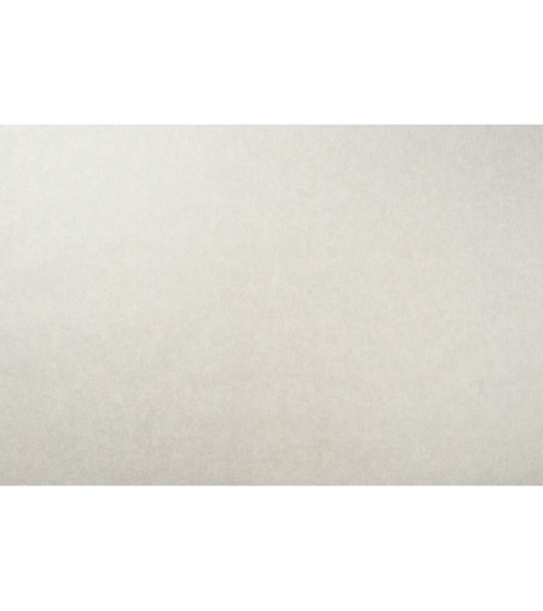 Vinyl Foam wallpaper on non-woven base Vinil Malena DHN-1495/1 Golden-White 10,05 x 1,06 m