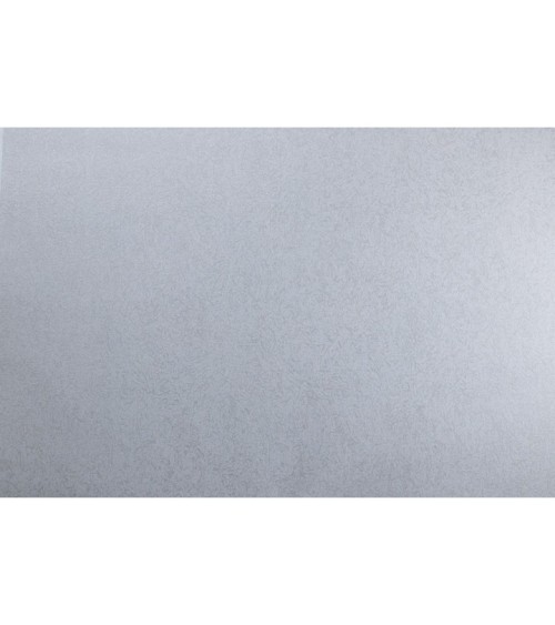 Vinyl Foam wallpaper on non-woven base Vinil ARABELLA DHV-1481/4 Gray 10,05 x 1,06 m