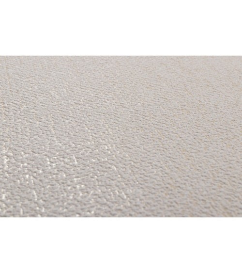 Vinyl Foam wallpaper on non-woven base Vinil Atreyu  DHS-1477/5 Sandy 10,05 x 1,06 m