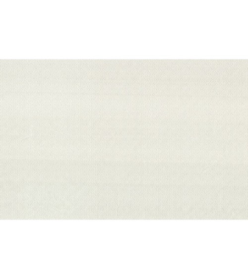 Vinyl Foam wallpaper on non-woven base Vinil Damir DHV-1487/2 Beige 10,05 x 1,06 m