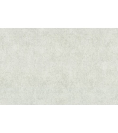 Hot Embossed wallpaper on Non-Woven Base Vinil Paradise SHT 3-1553 Gray-Green 10,05 x 1,06 m