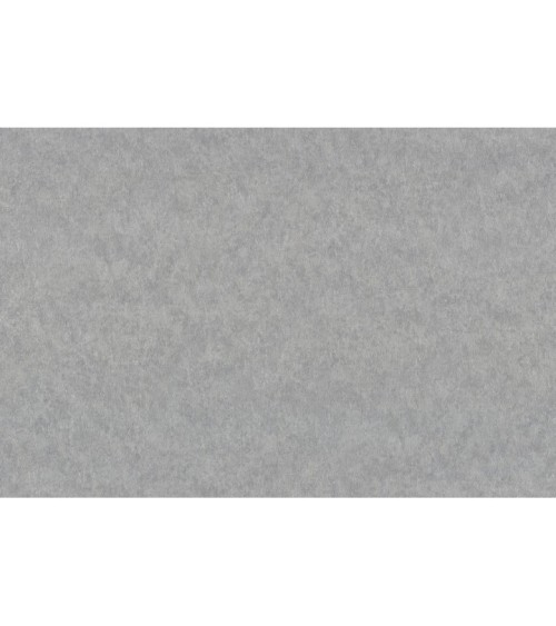 Hot Embossed wallpaper on Non-Woven Base Vinil Alanya VIP 7-1542 Gray-Brown 10,05 x 1,06 m