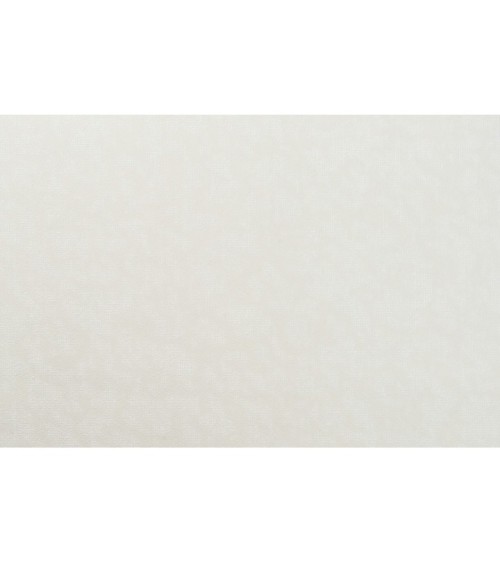 Vinyl Foam wallpaper on non-woven base Vinil Zan KFP 1-1519 White-Brown 10,05 x 0,53 m