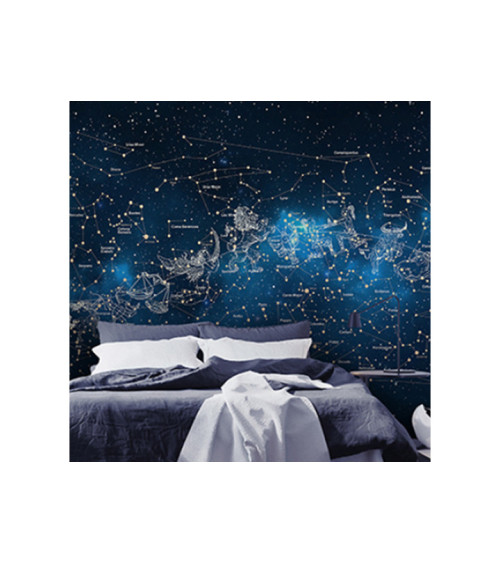 Wall Mural "Night sky constellations" buy with delivery