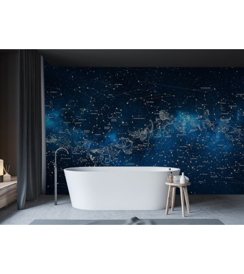 Wall Mural "Night sky constellations" buy with delivery