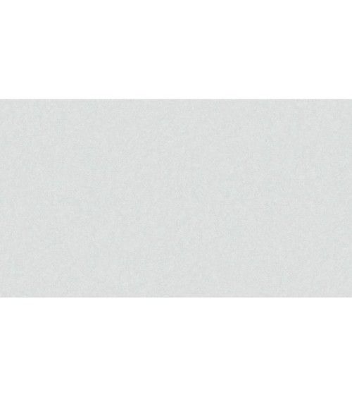 520116 (1,06)