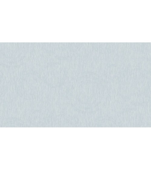 457818 (1,06)