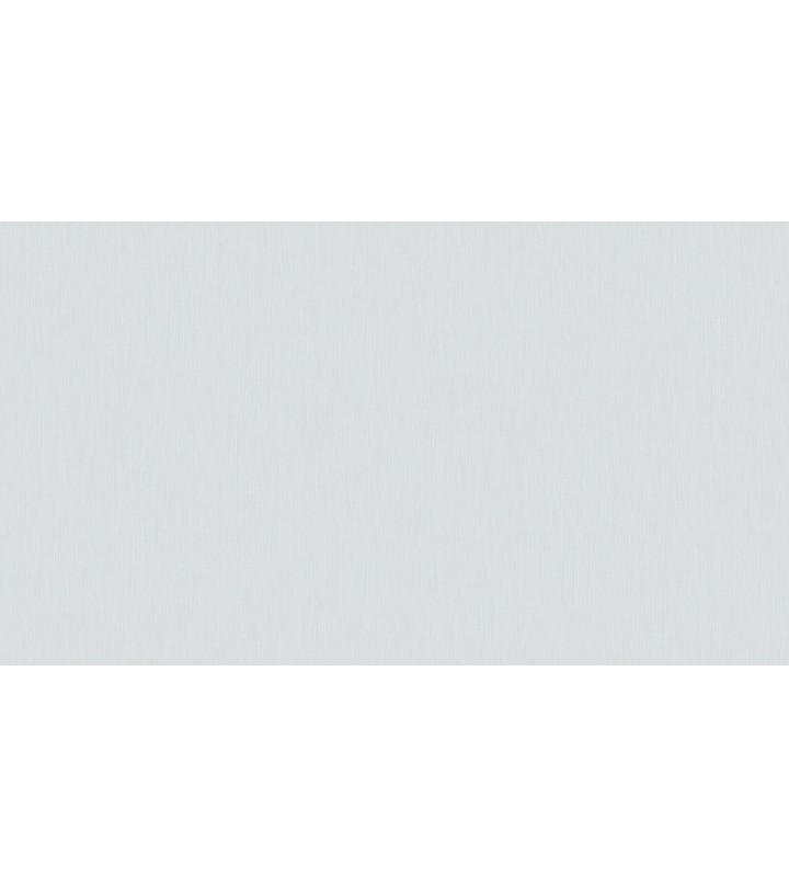 457801 (1,06)
