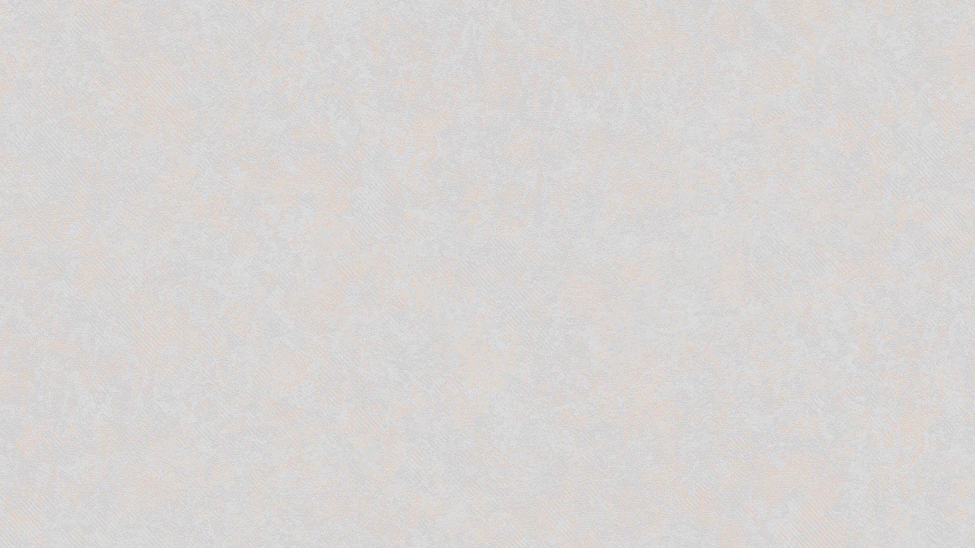 406755 (1,06)