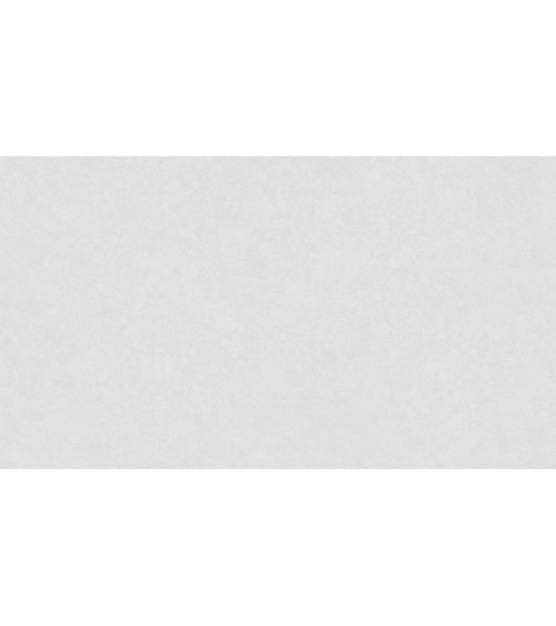406700 (1,06)