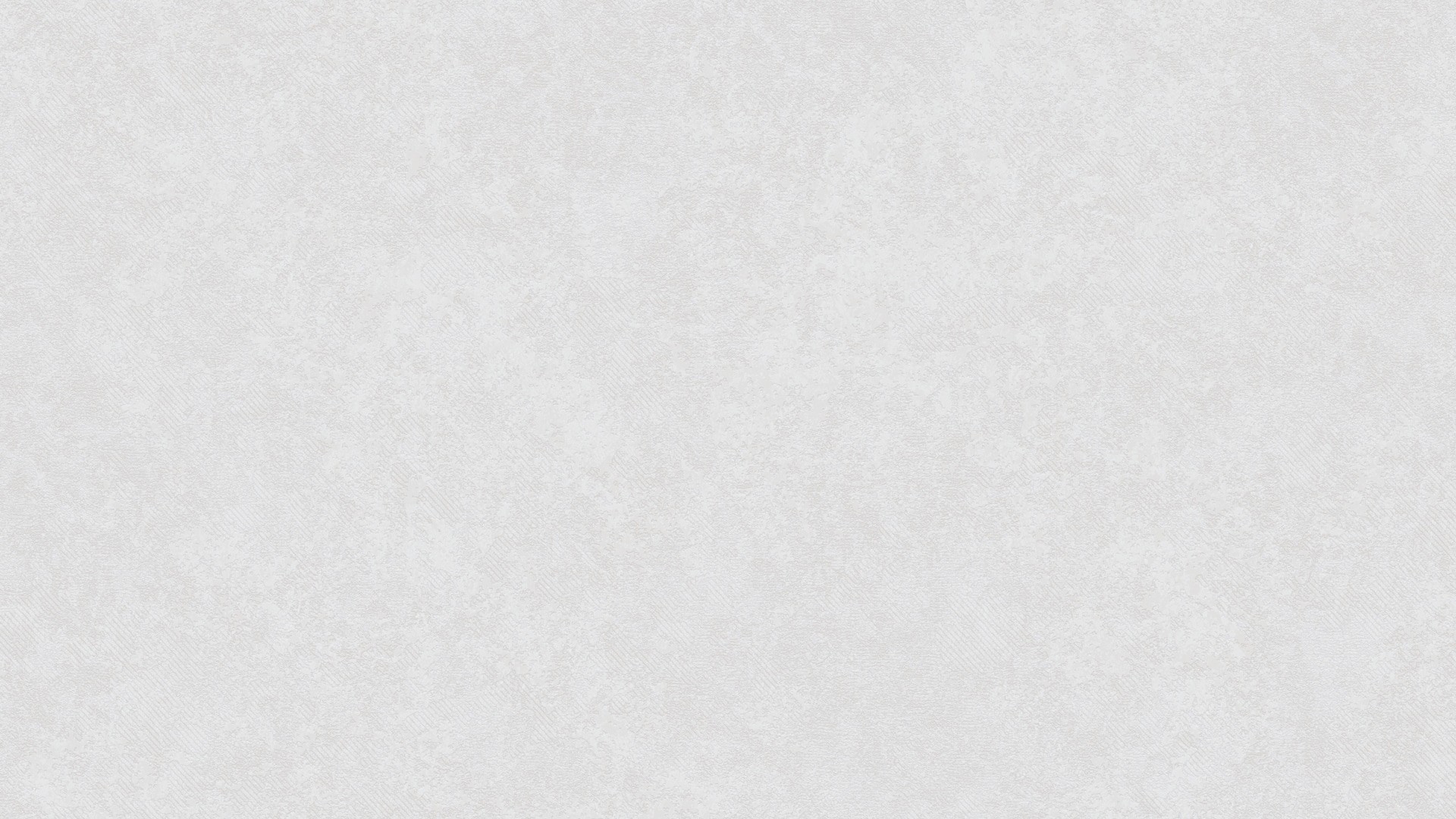 406700 (1,06)