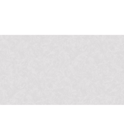 420737 (1,06)