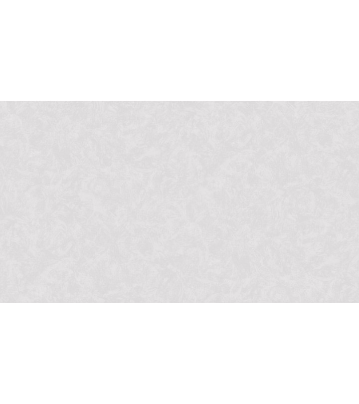 420737 (1,06)