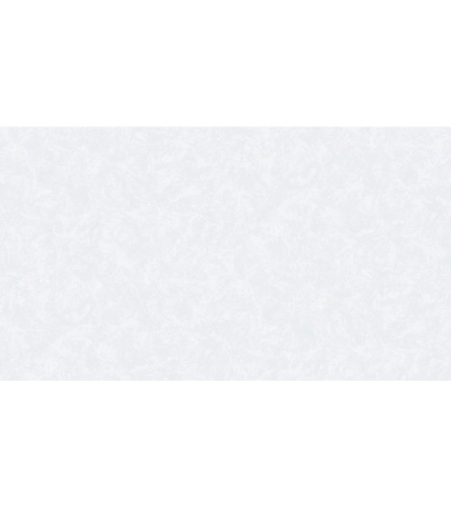 420720 (1,06)