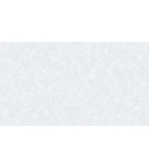 420713 (1,06)