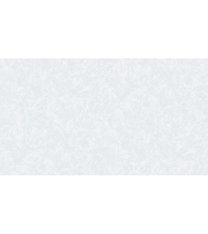 420713 (1,06)