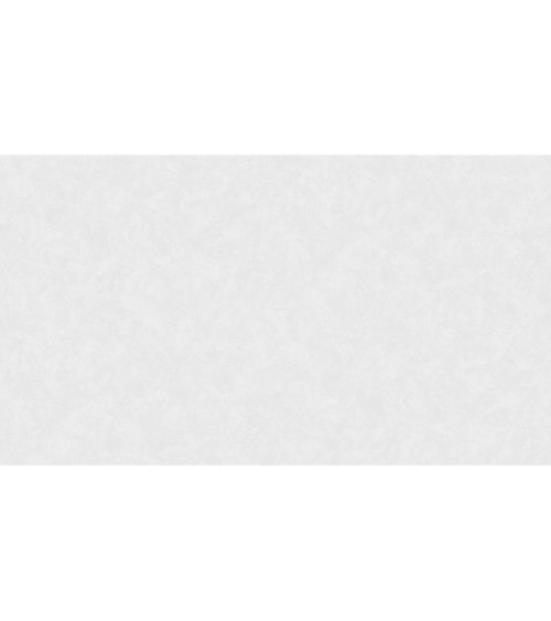 420706 (1,06)