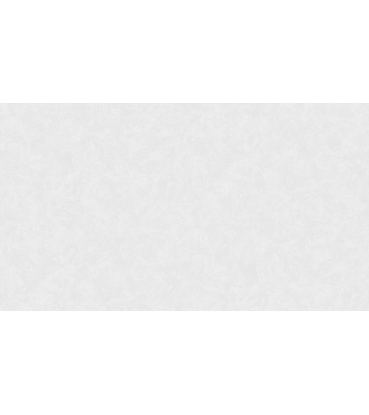 420706 (1,06)