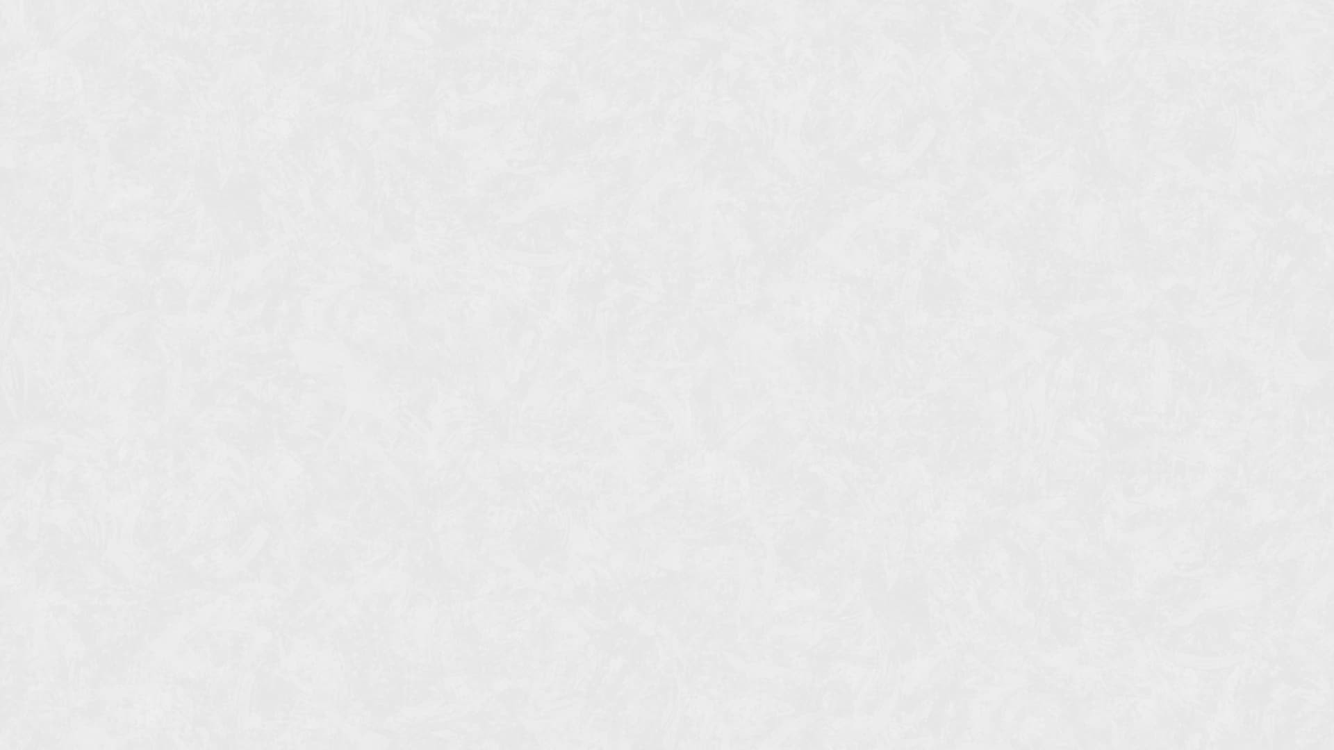 420706 (1,06)