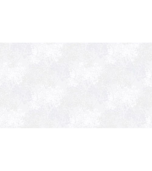 420225 (0,53) / 505229 (1,06)