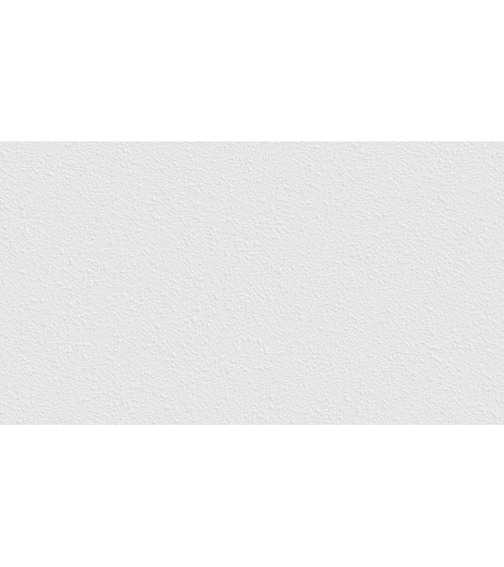 805008 (1,06)