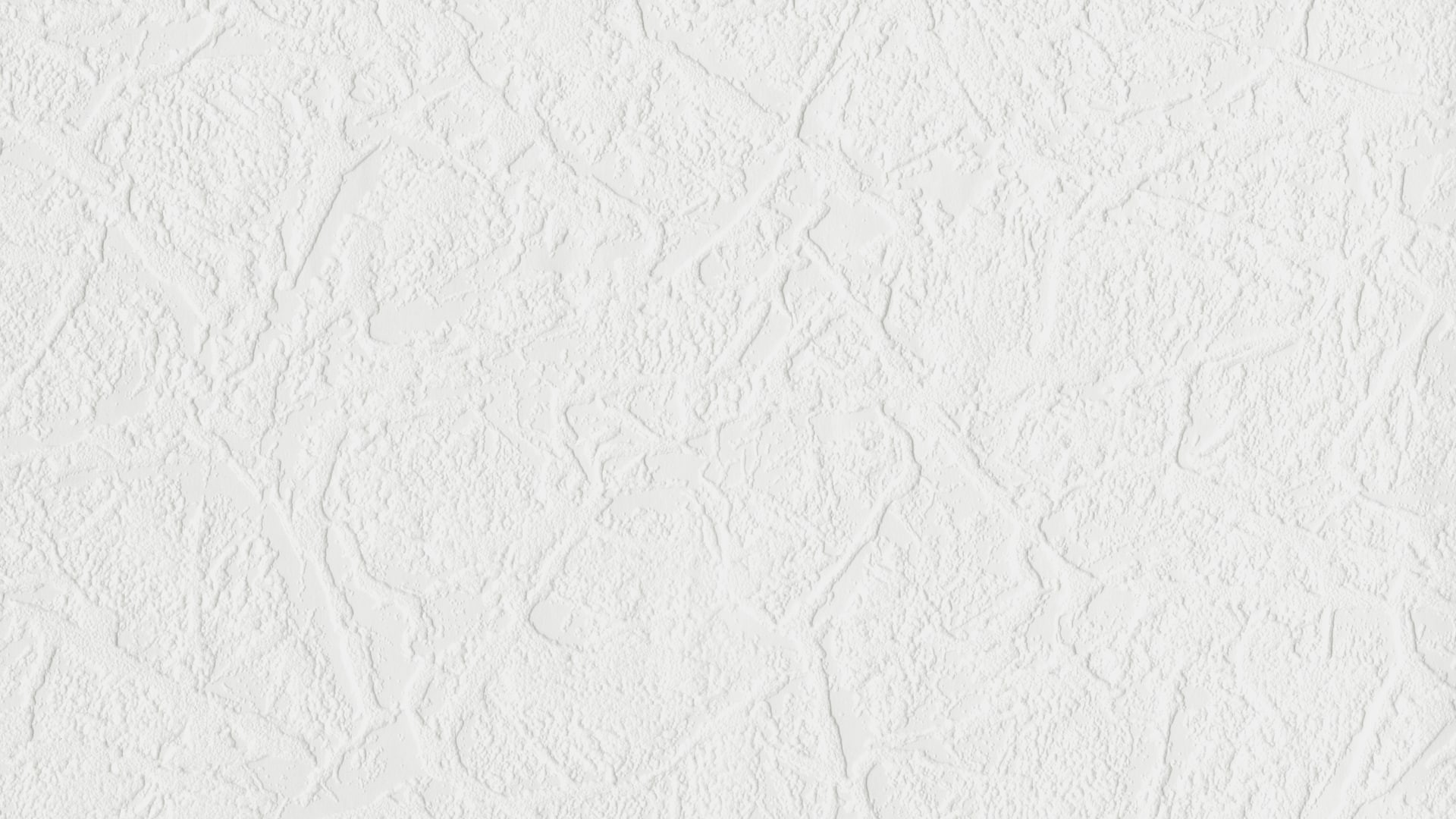 678008 (1,06)