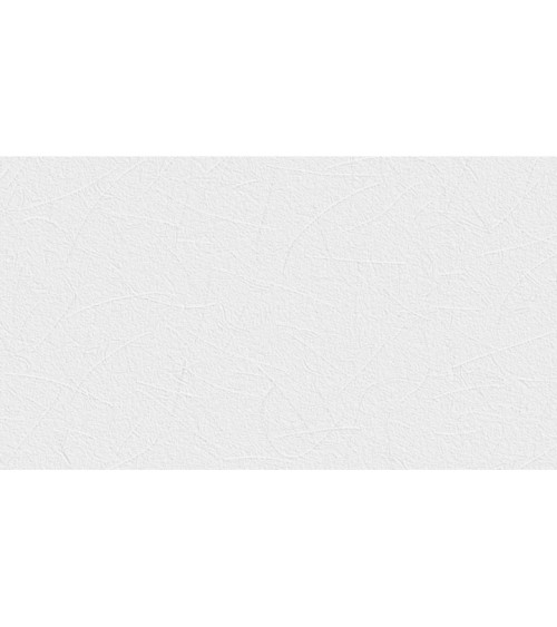 676202 (1,06)