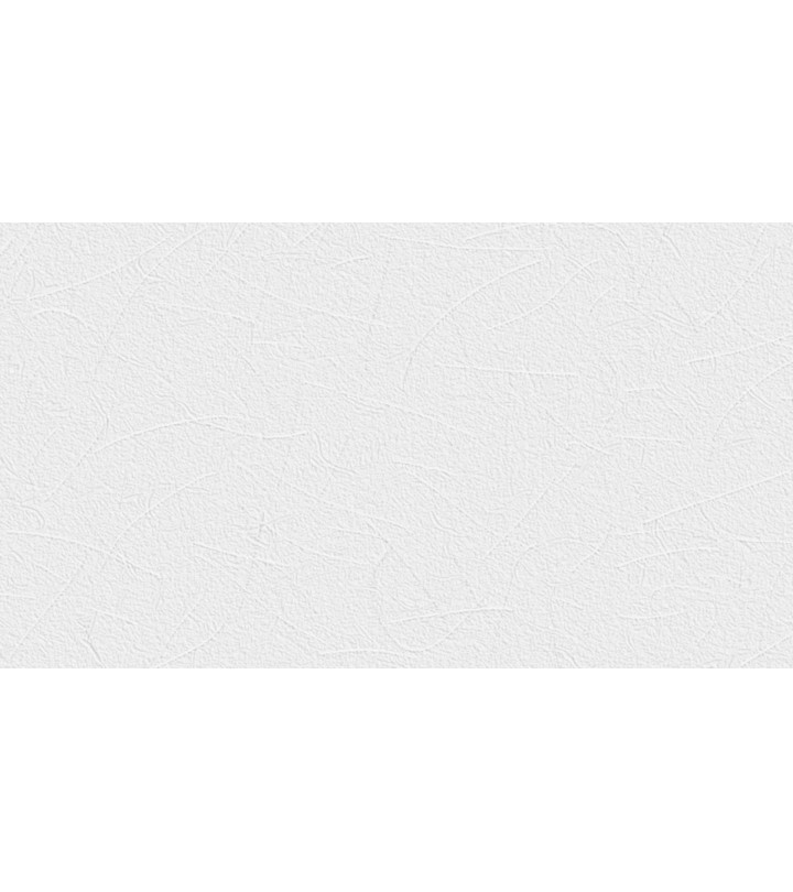 676202 (1,06)