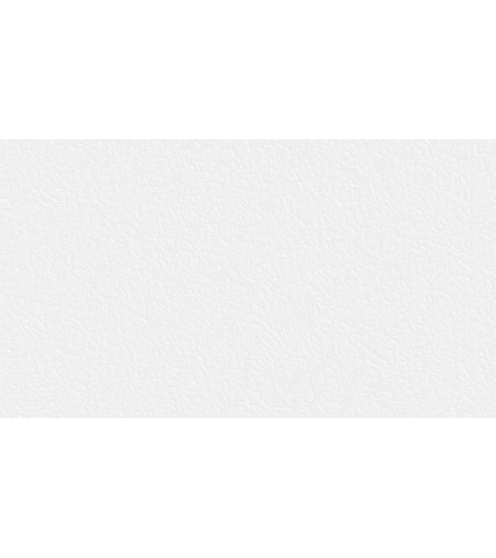 675809 (1,06)