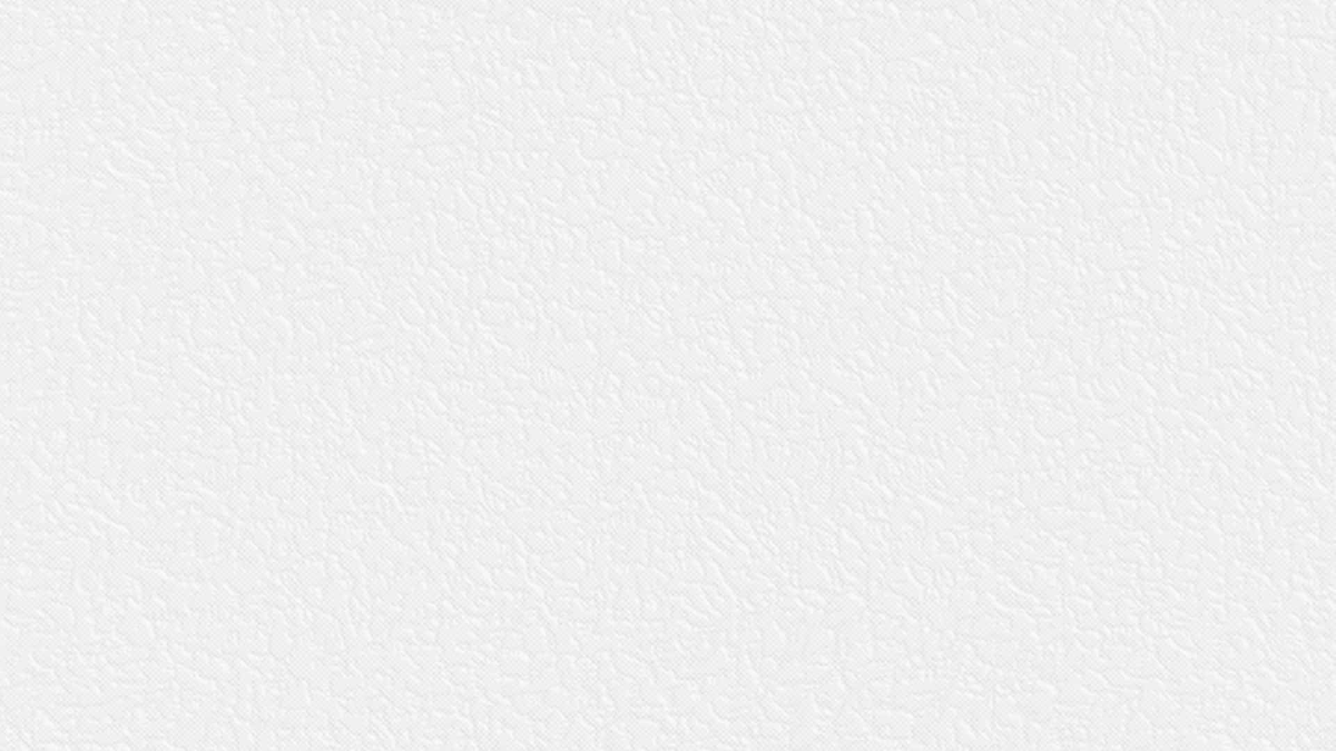 675809 (1,06)