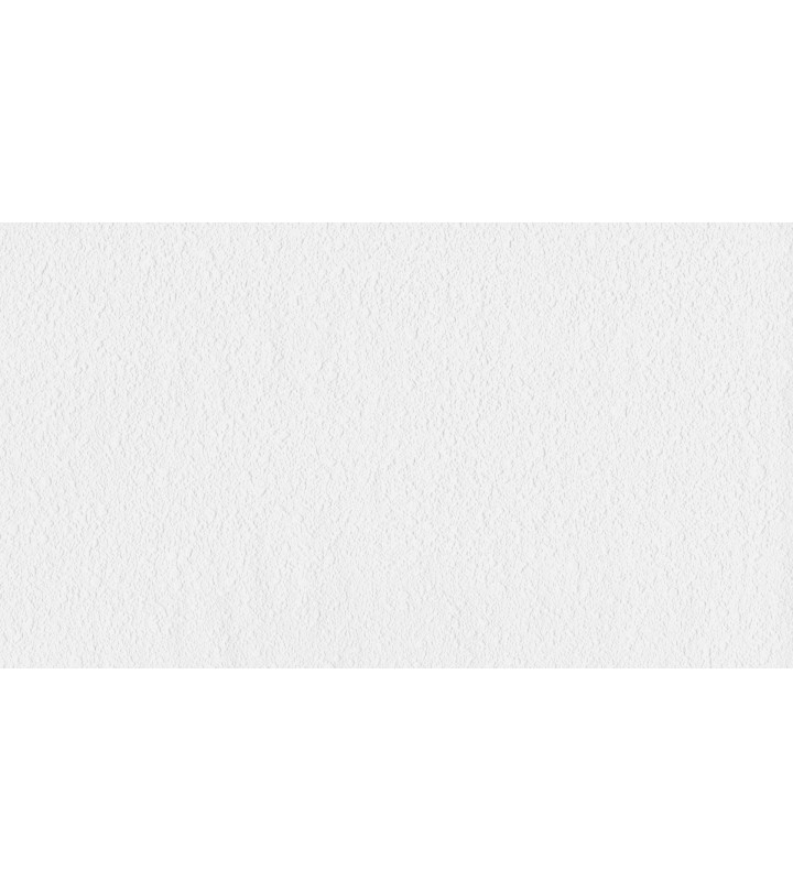675700 (1,06)