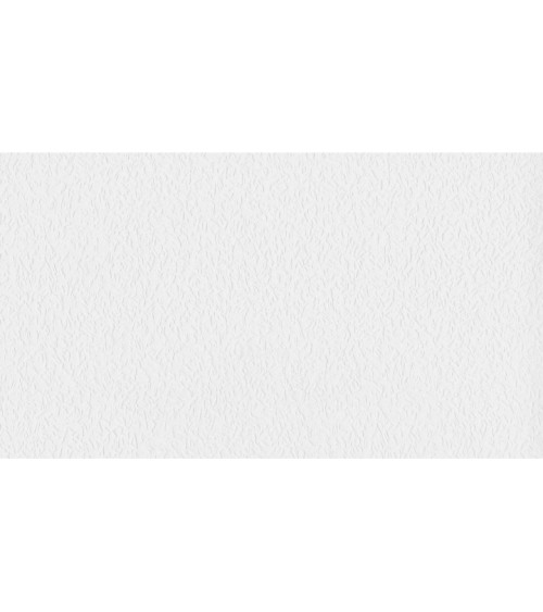 675601 (1,06)
