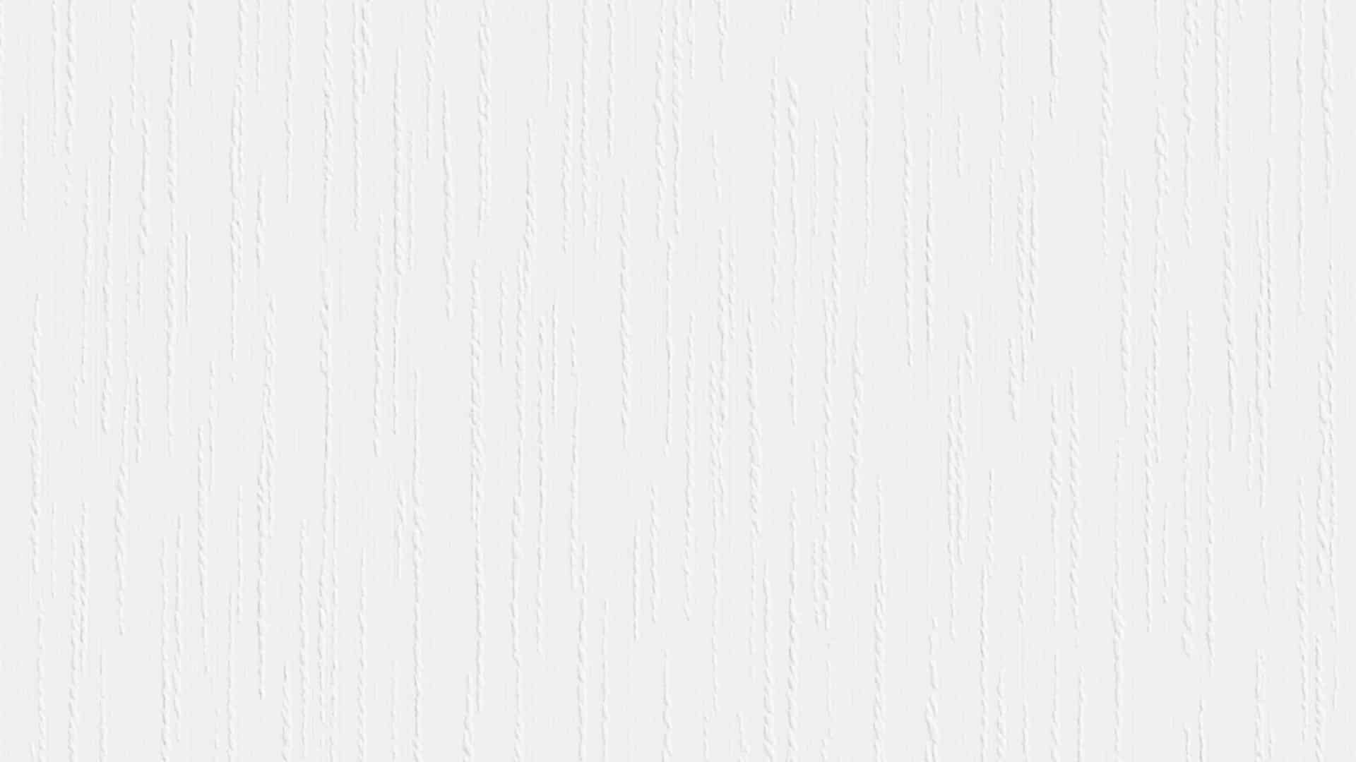 675007 (1,06)