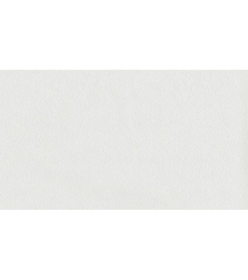 697504 (1,06)