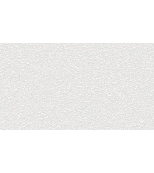 689905 (1,06)