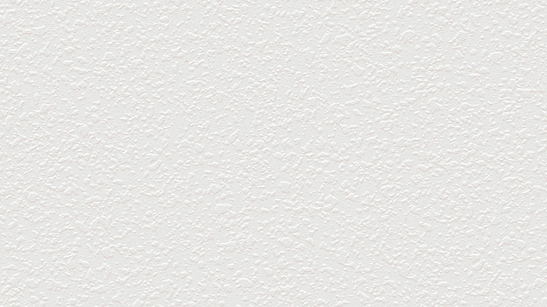 689905 (1,06)